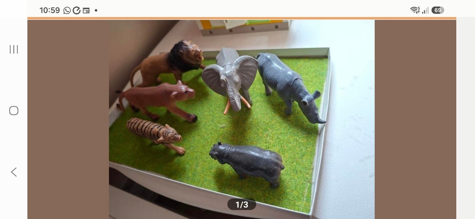 Wilde dieren, Ophalen of Verzenden