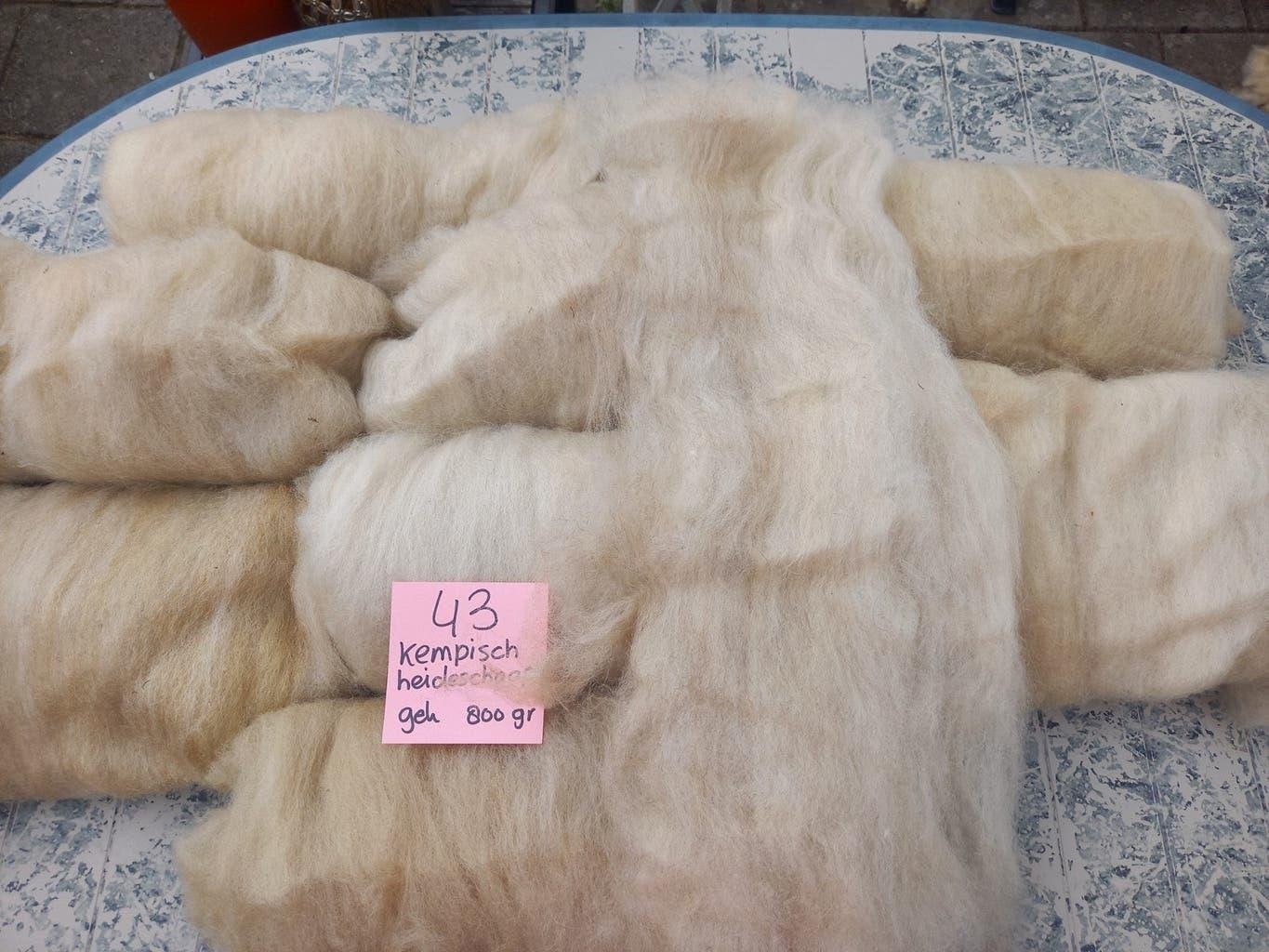 nr 43 Gekaarde wol kaardvlies Kempisch heideschaap 800 gr, Ophalen of Verzenden, Nieuw