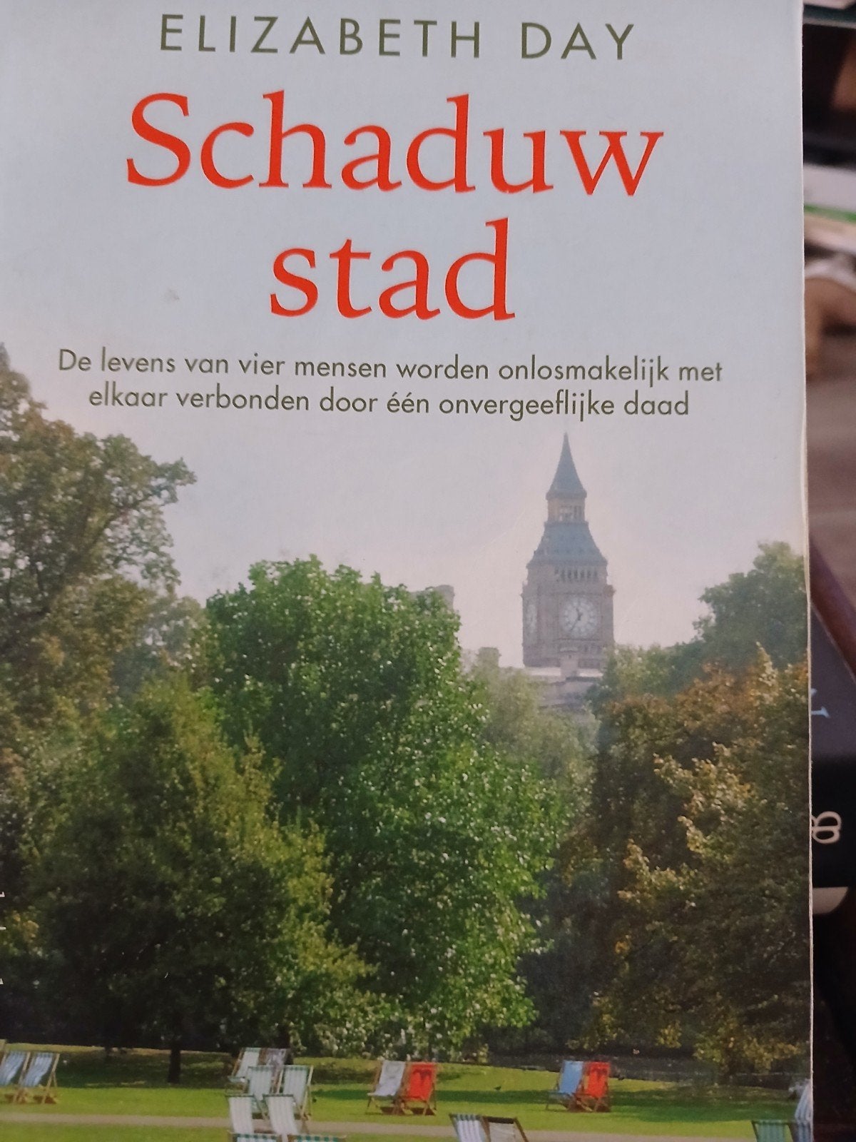 Elizabeth Day Schaduwstad, Boeken, Ophalen of Verzenden, Zo goed als nieuw