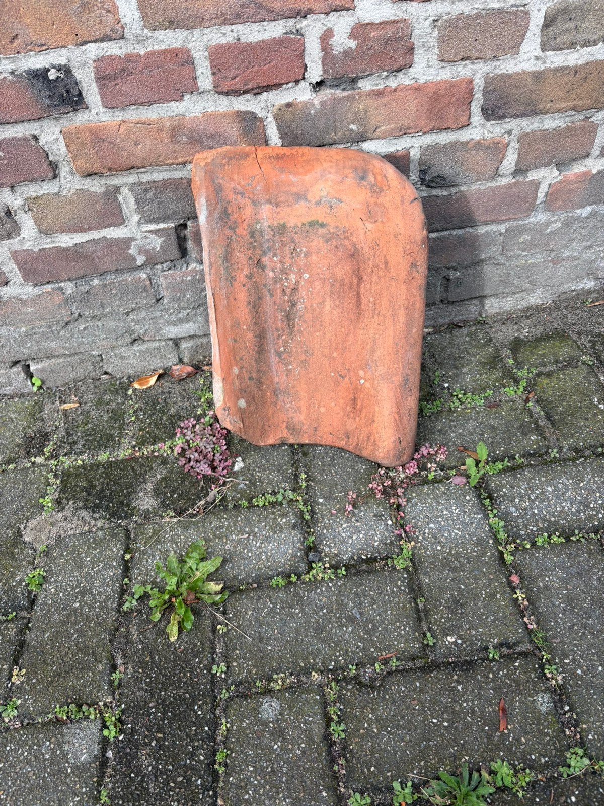 Oude dakpannen, Doe-het-zelf en Verbouw, Ophalen, Gebruikt, Steen of Klei, 15 m² of meer