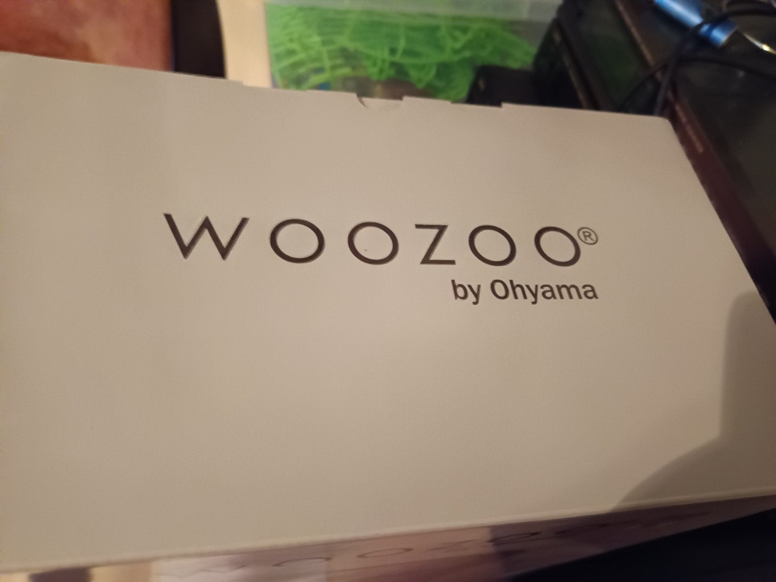 woozoo bijzet kacheltje, Ophalen, Elektrisch, Overige soorten