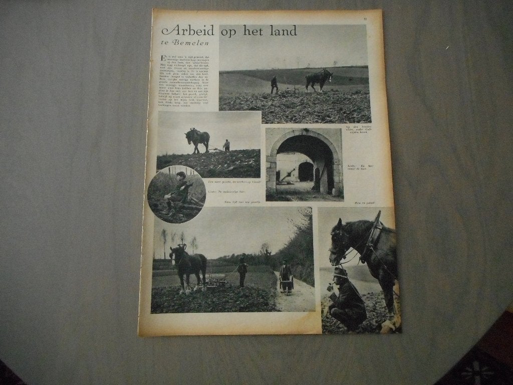 Bemelen. Arbeid op het land. 1937., Ophalen of Verzenden, 1920 tot 1940, Nederland, Knipsel(s)