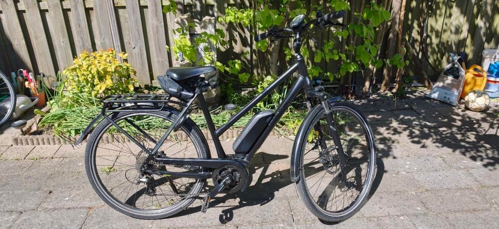 Pegasus Solero E8 plus E-bike - Bosch Active Line Plus, Zo goed als nieuw, 50 km per accu of meer, 55 tot 59 cm, Ophalen