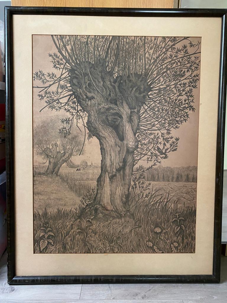 Mooie afbeelding  van knotwilg van A.C.Wynstroom uit 1928, Antiek en Kunst, Ophalen, 90 cm, 70 cm
