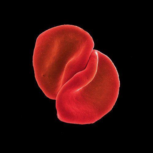 SALE--CD PETER GABRIEL - Scratch My Back, Verzenden, Zo goed als nieuw