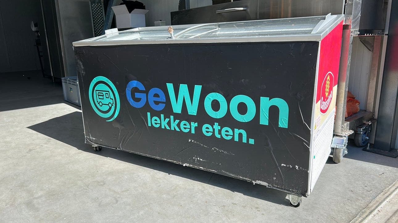 Vrieskist, Witgoed en Apparatuur, Gebruikt, 200 liter of meer, 60 cm of meer, Met vriesvak