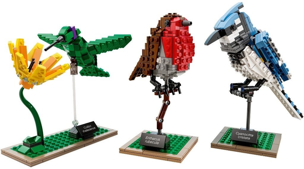 21301 - Ideas: Birds, Hello@support.lego.com, Lego, Nieuw, Ophalen of Verzenden