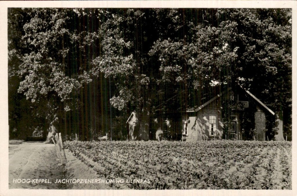Hoog-Keppel - Jachtopzienerswoning - Ulenpas, Ophalen of Verzenden, 1940 tot 1960, Ongelopen, Gelderland