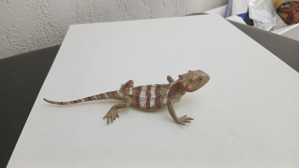 zebra staart hagedis, dierfiguur, 13 cm x, Verzamelen, Dierenverzamelingen, Verzenden, Gebruikt, Reptiel of Amfibie, Beeldje of Figuurtje