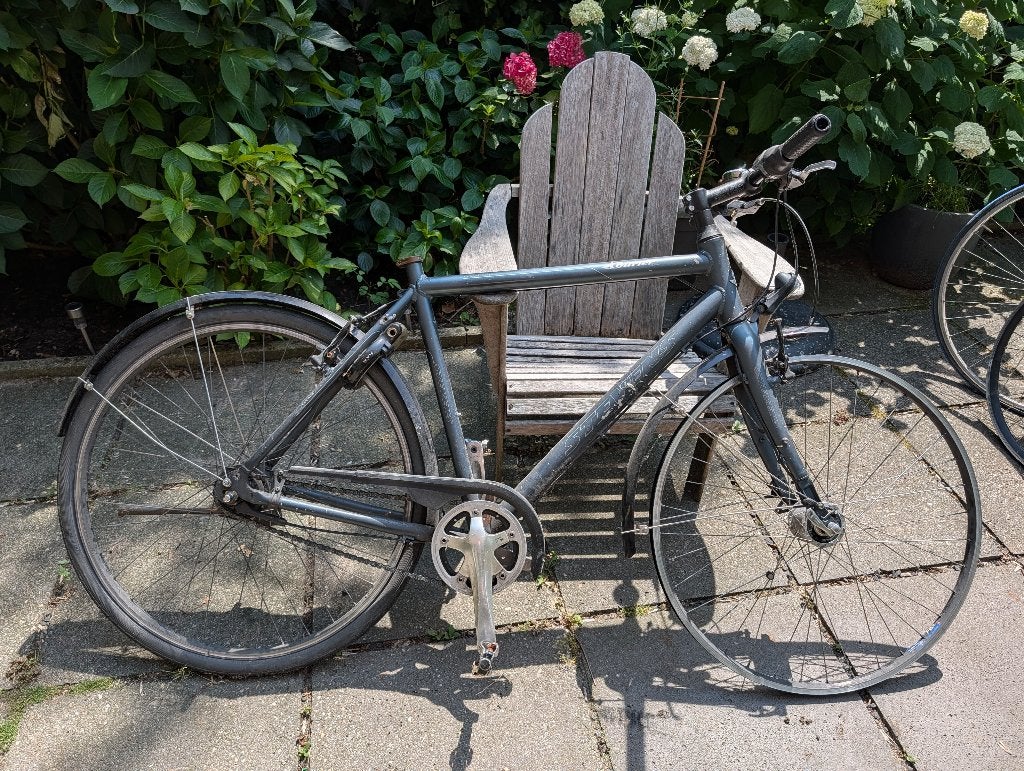 Stevens Courier Premium 55 cm Nexus 8 Premium, Gebruikt, Velgrem, Versnellingen, 53 tot 57 cm