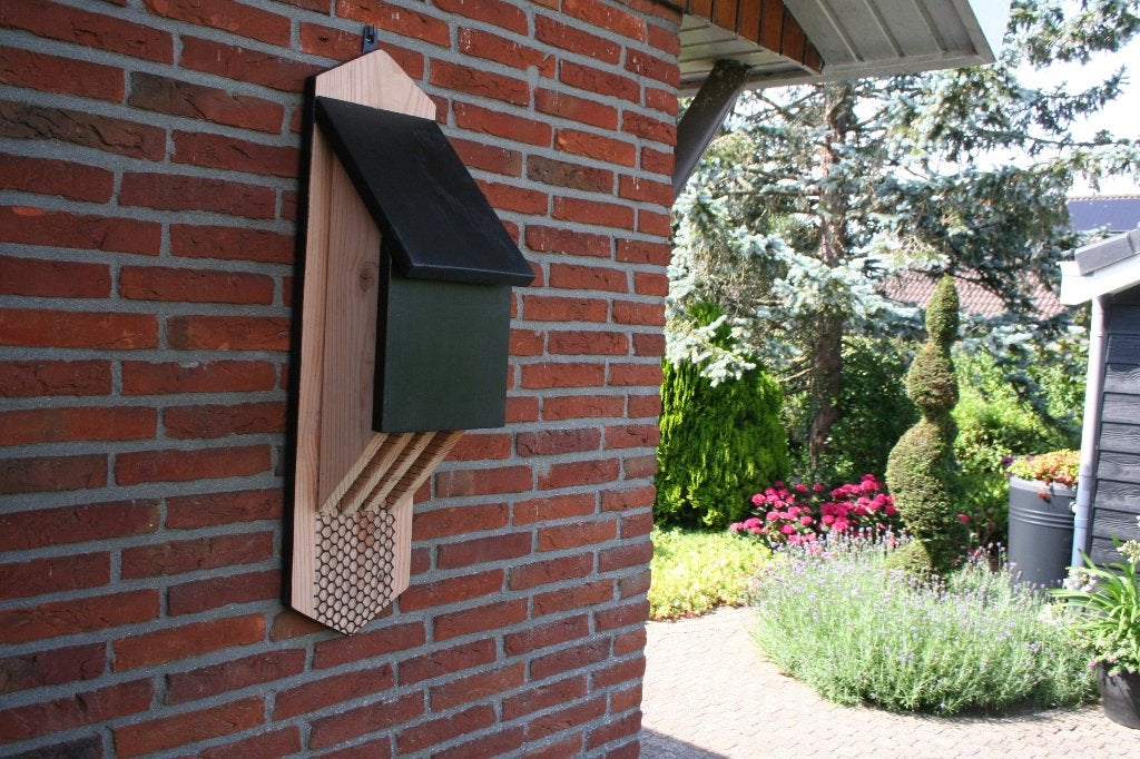 Vleermuizenkast, Ophalen of Verzenden, Nieuw