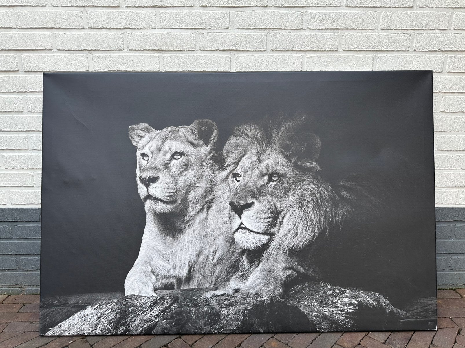3 Canvas schilderijen in goede staat., Huis en Inrichting, Woonaccessoires | Schilderijen, Tekeningen en Foto's, Ophalen, Zo goed als nieuw