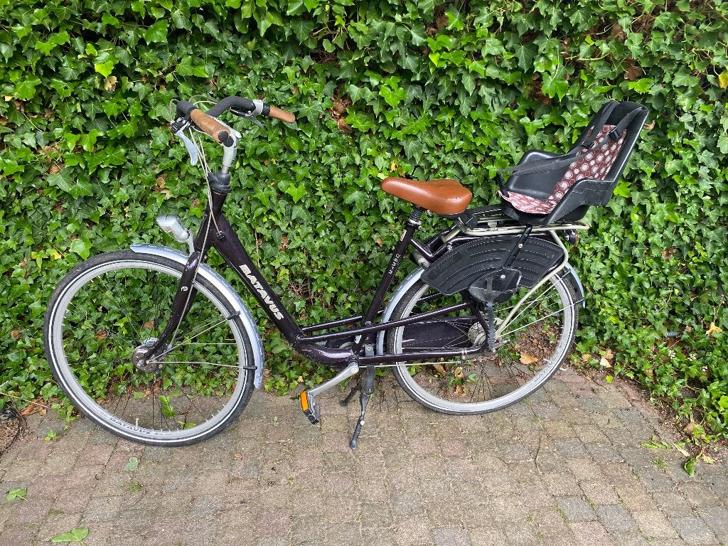 Batavus Mambo deluxe, Ophalen, Gebruikt, Batavus