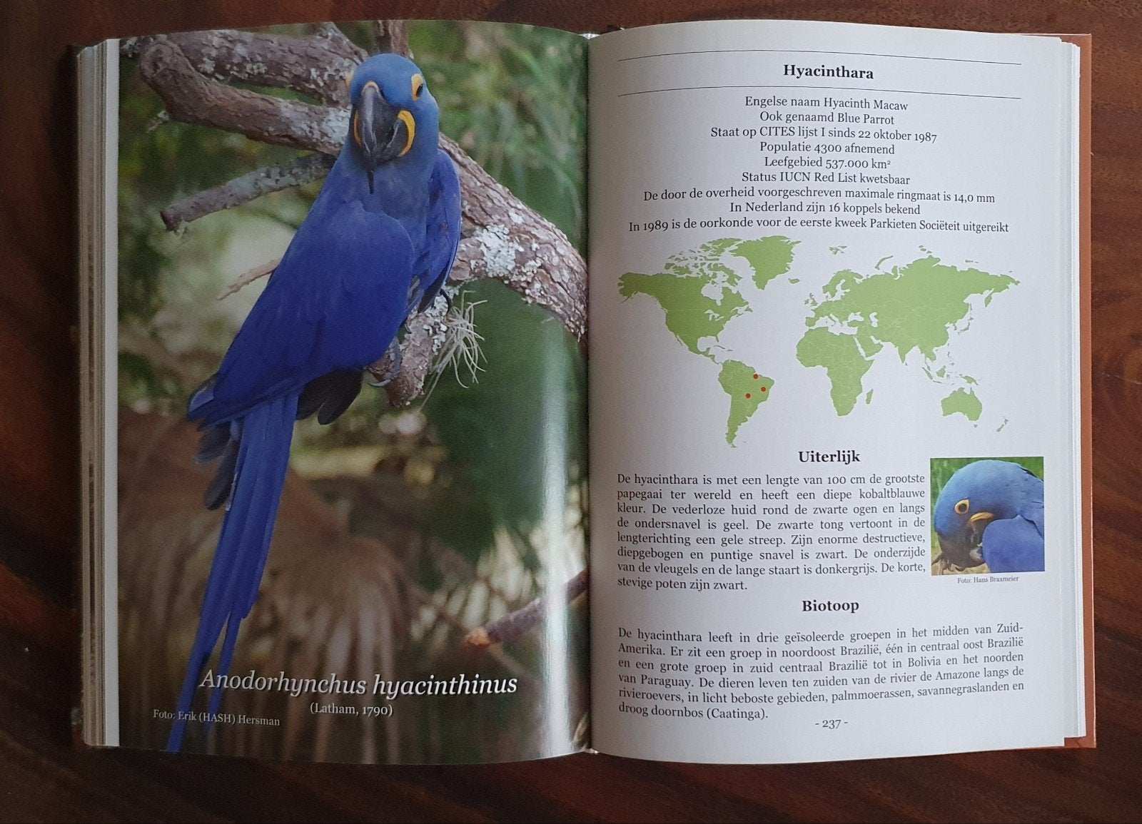 Broeden voor behoud 1/2 CITES/IUCN papegaaien soortauteurs, Dieren en Toebehoren, Meerdere dieren, Papegaai
