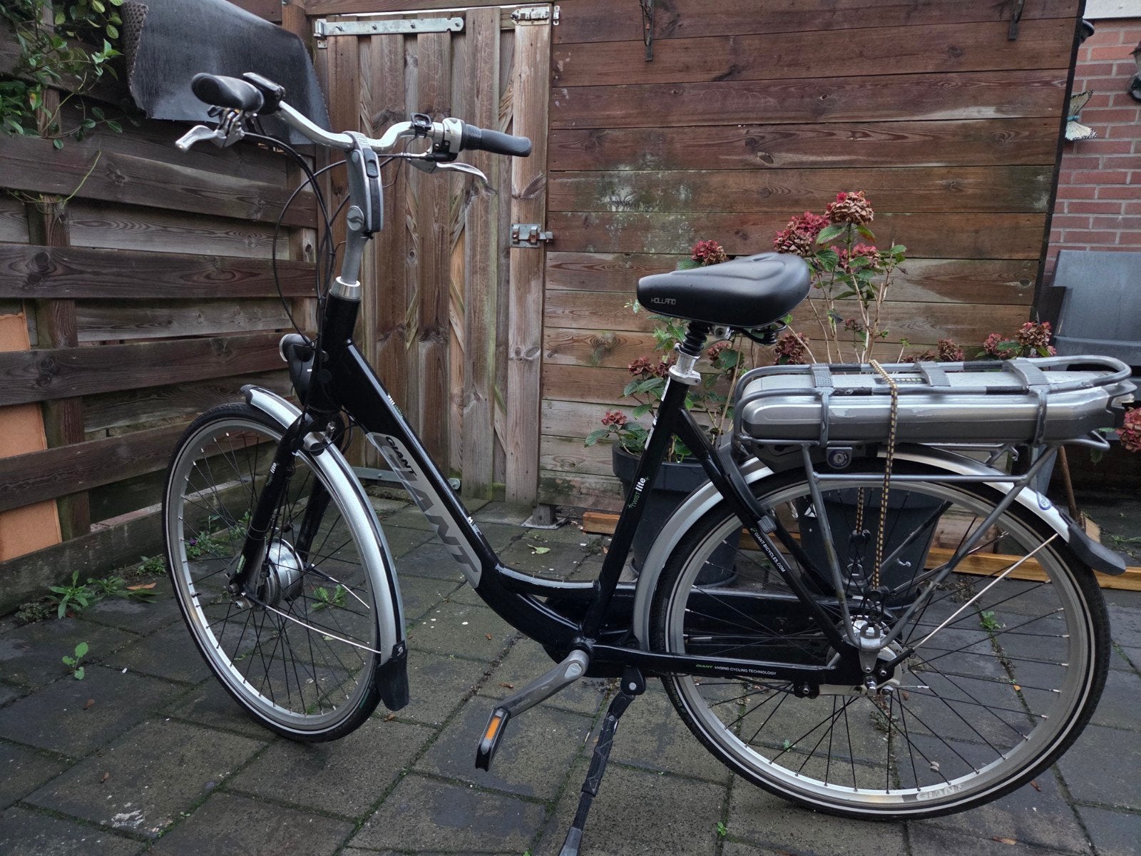 Giant elektrische fiets - L size, Fietsen en Brommers, Ophalen, Gebruikt, Giant, 59 cm of meer