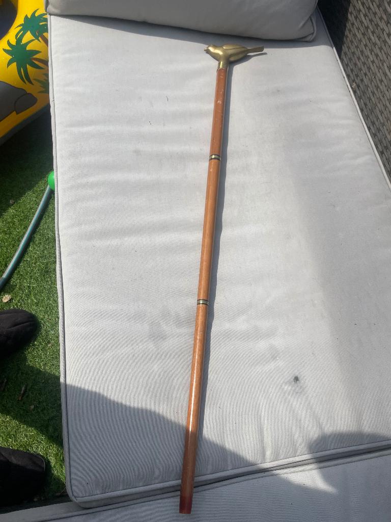 Wandelstok, Diversen, Wandelstokken, Ophalen of Verzenden, Gebruikt