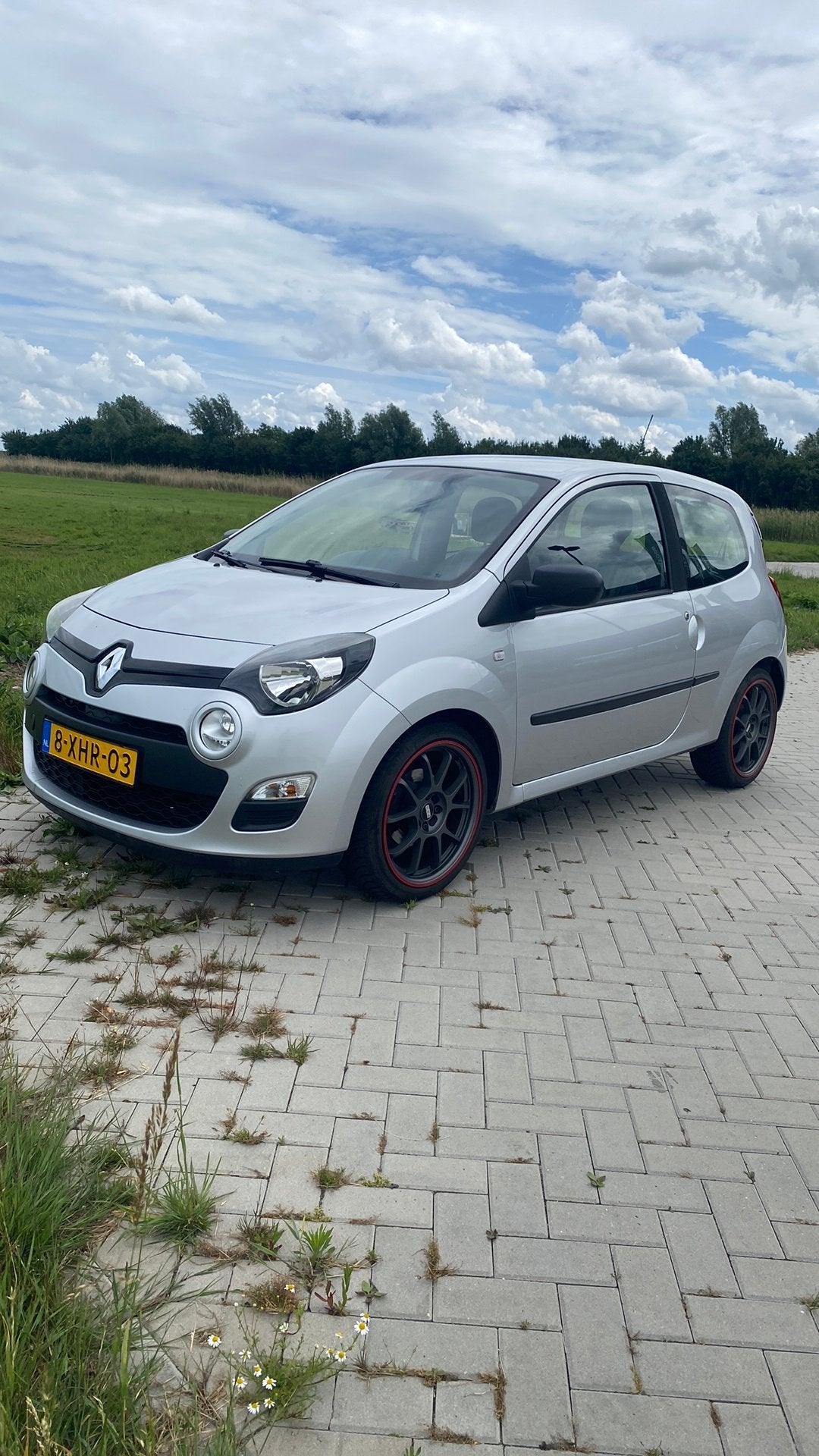 Renault Twingo 1.2 16v 75pk 2014 Grijs, Voorwielaandrijving, 839 kg, 74 pk, Zwart