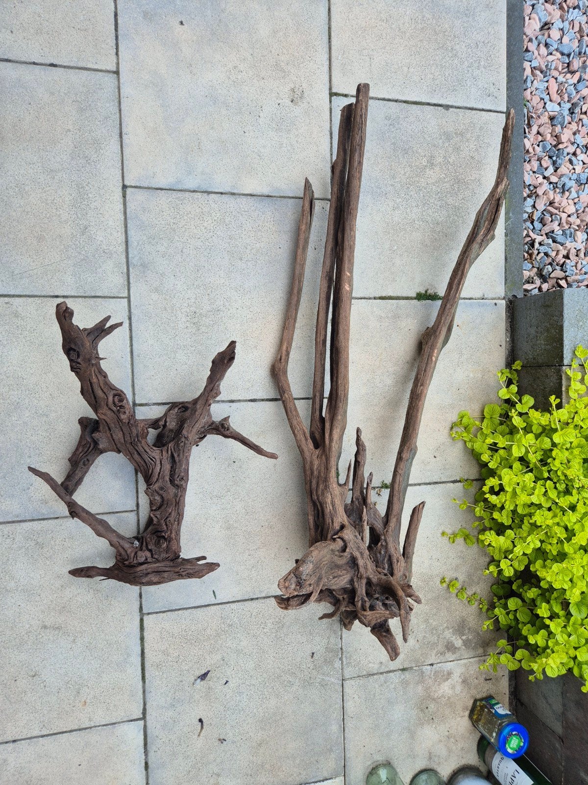Kien hout 2 stukken, Dieren en Toebehoren, Ophalen, Gebruikt, Plant(en), Steen of Hout, Overige merken
