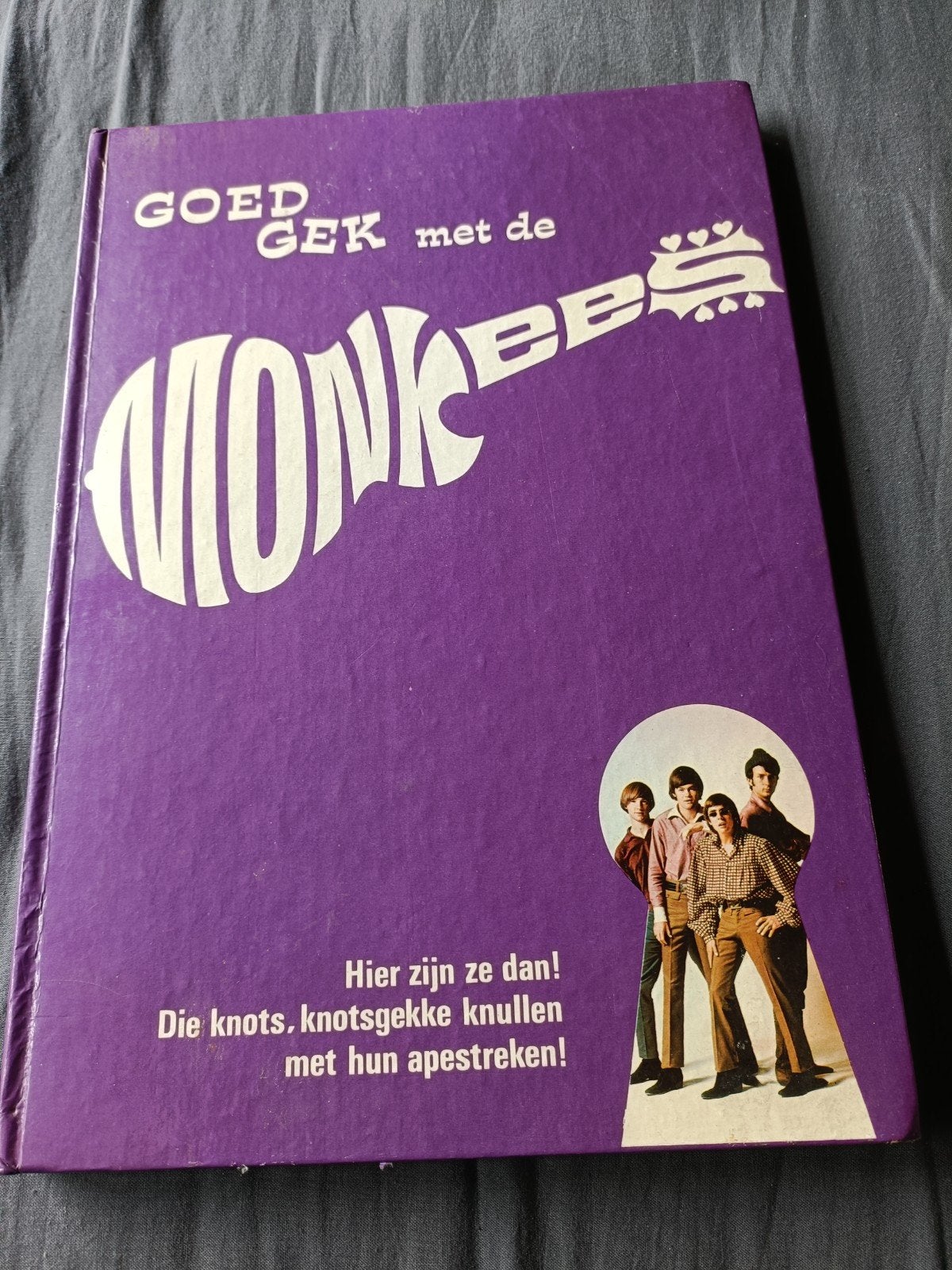 boek, Goed Gek met de Monkees, Boeken, Ophalen of Verzenden, Artiest