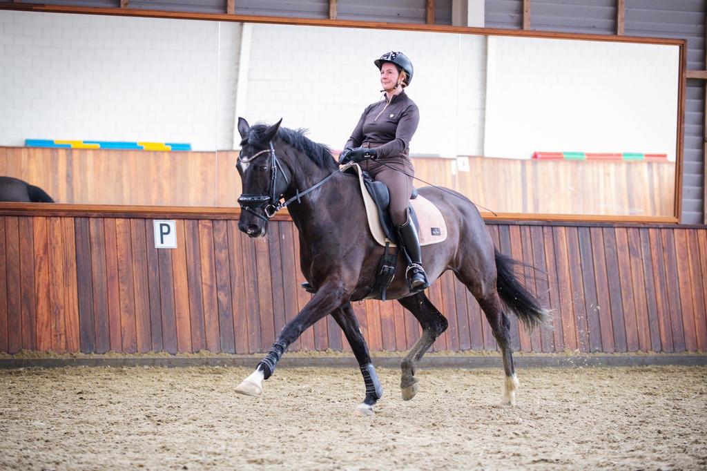 Te koop merrie Uphill x Jazz Z1 dressuur, Merrie, Dressuurpaard, 11 jaar of ouder, 165 tot 170 cm