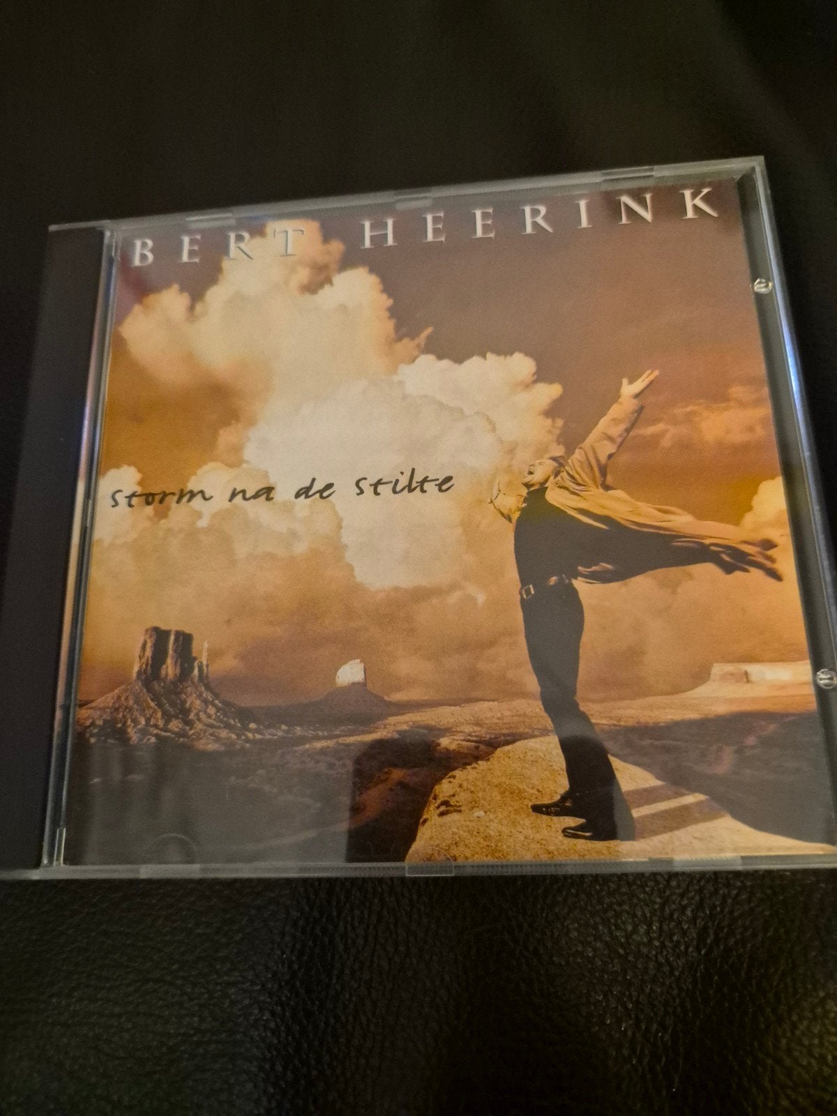 Bert Heerink - Storm na de Stilte CD, Ophalen of Verzenden, Zo goed als nieuw, Schlager, Album