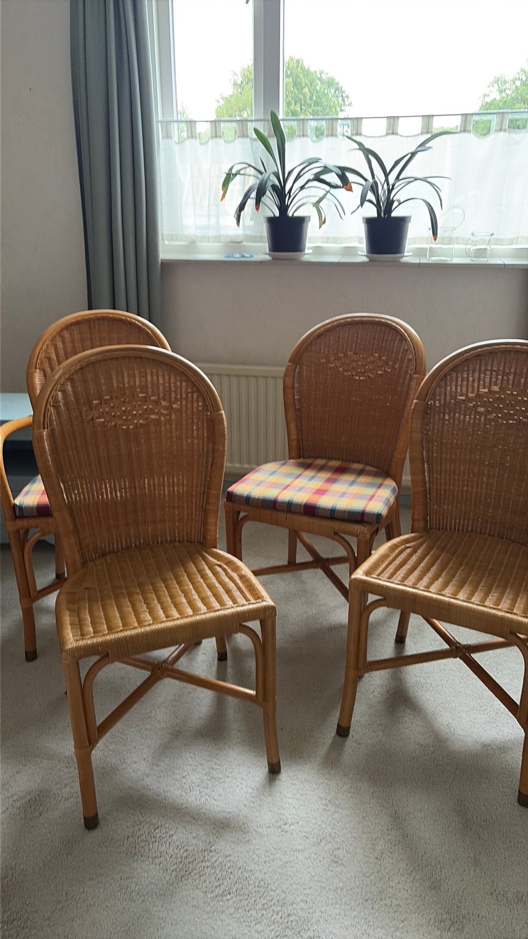 4 stoelen Manou, Ophalen, Gebruikt, Bruin, Riet of Rotan