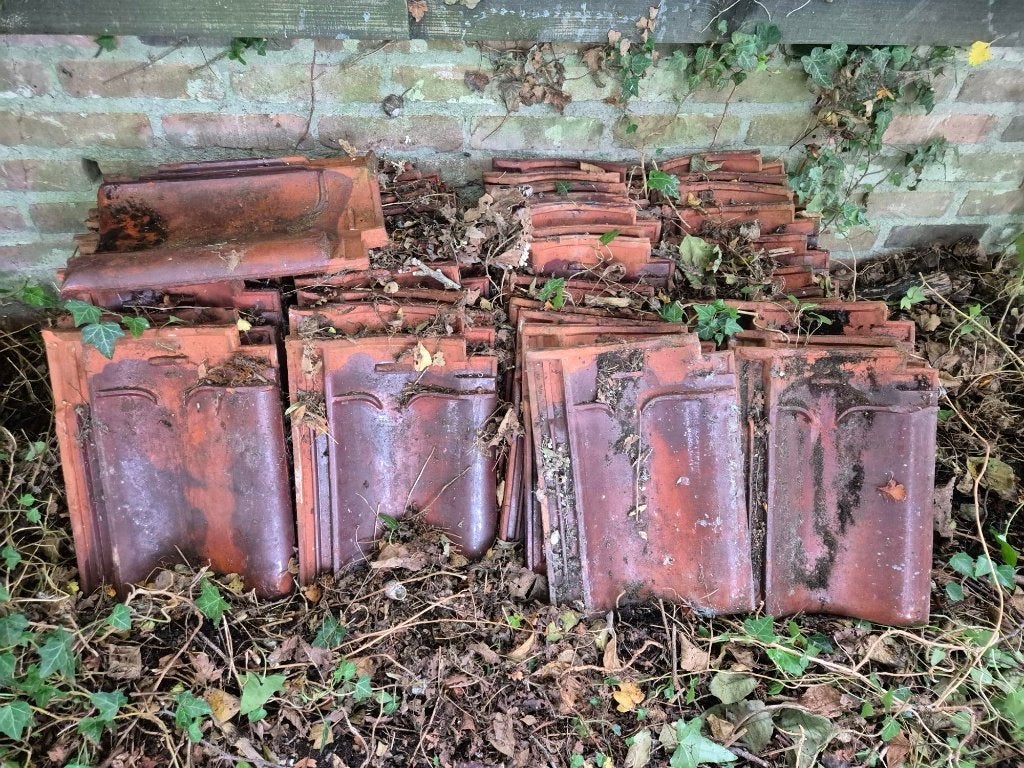 dakpannen, verbeterd hollands, rood, 45 stuks, Doe-het-zelf en Verbouw, Ophalen, Gebruikt, Steen of Klei, 15 m² of meer