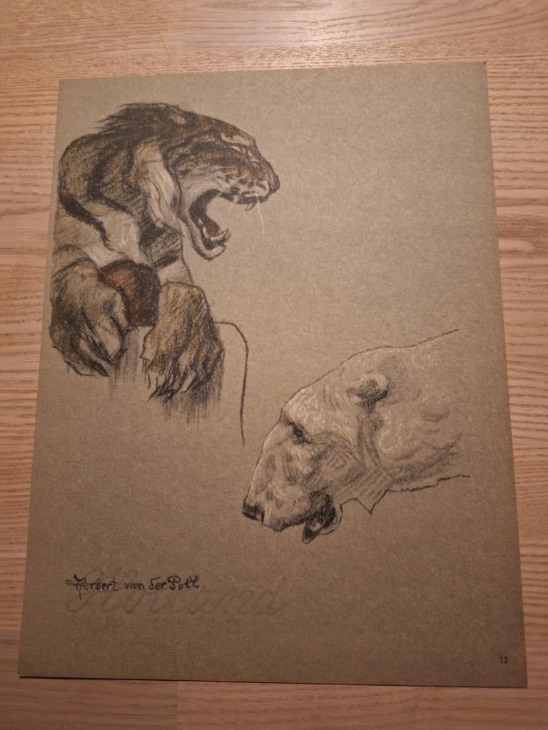 Herbert van der Poll, Litho, Ophalen of Verzenden