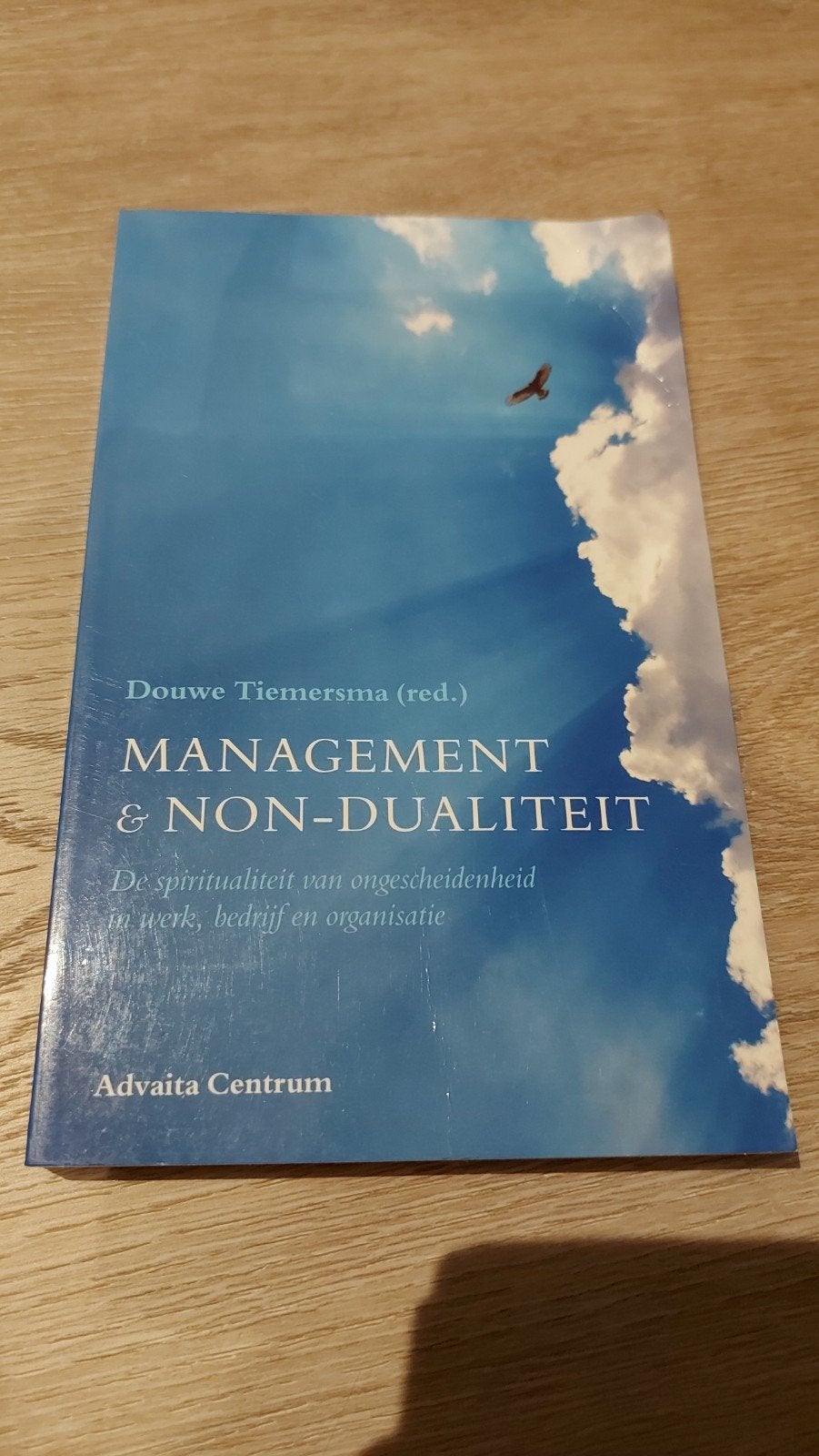 A: Management & Non-Dualiteit: Spiritualiteit in Werk, Ophalen of Verzenden, Gelezen, Management, Douwe Tiemersma (red.)