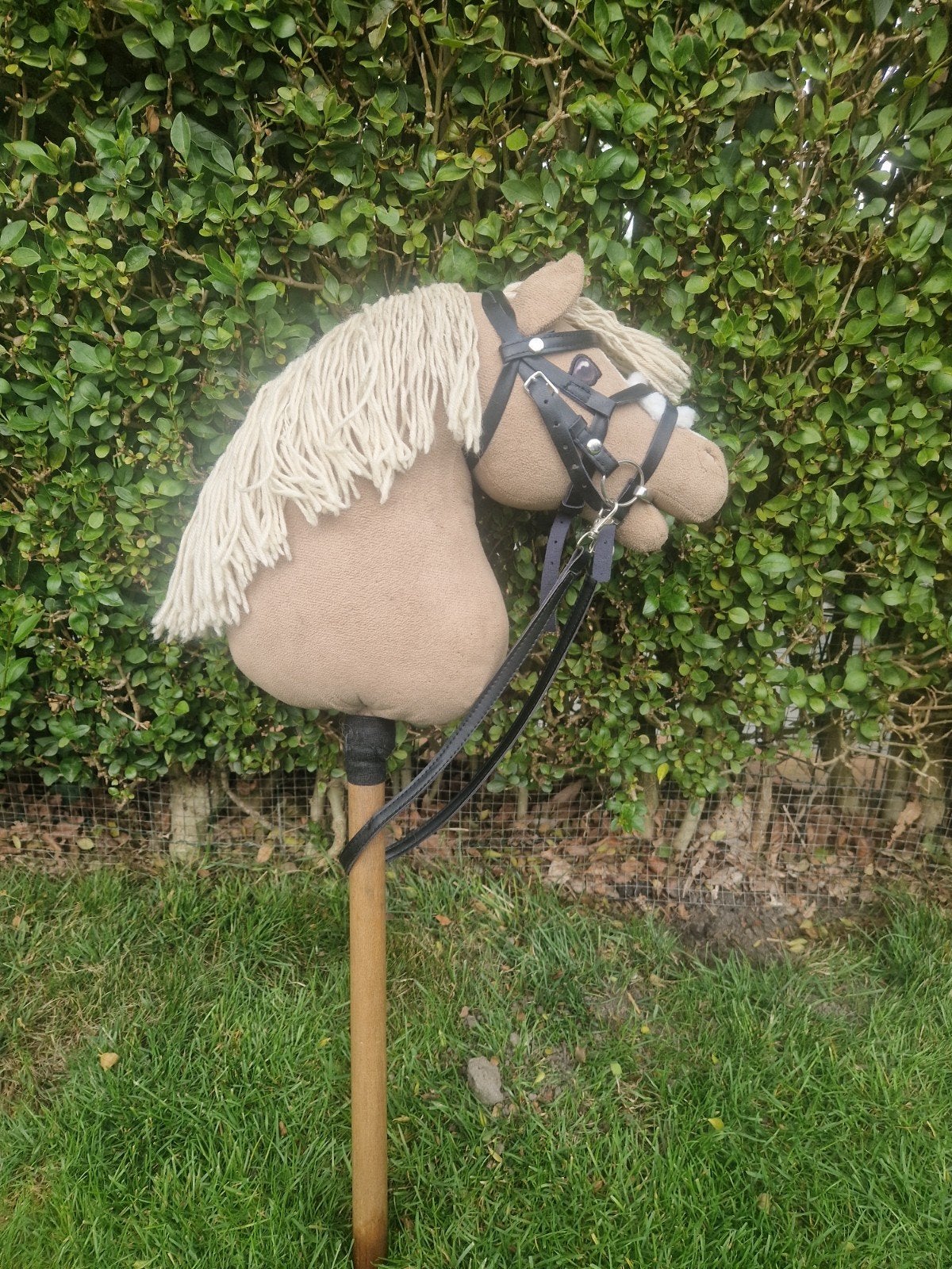 Cheval Roi hobby horse, Ophalen of Verzenden, Zo goed als nieuw