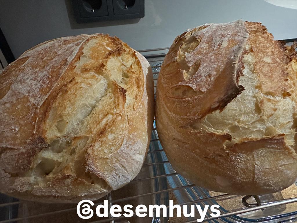 Vers gebakken zuurdesem zuurdesembrood sourdough, Ophalen
