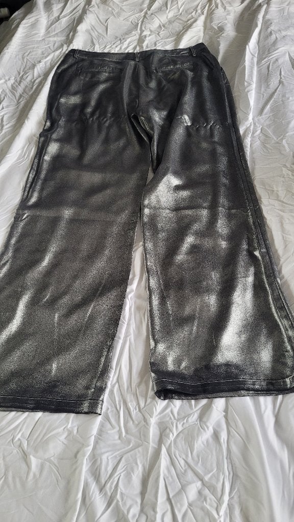 Zilverkleurige broek met bijpassende blouse mt.XL, Maat 46/48 (XL) of groter, Ophalen of Verzenden, Zo goed als nieuw, Lang