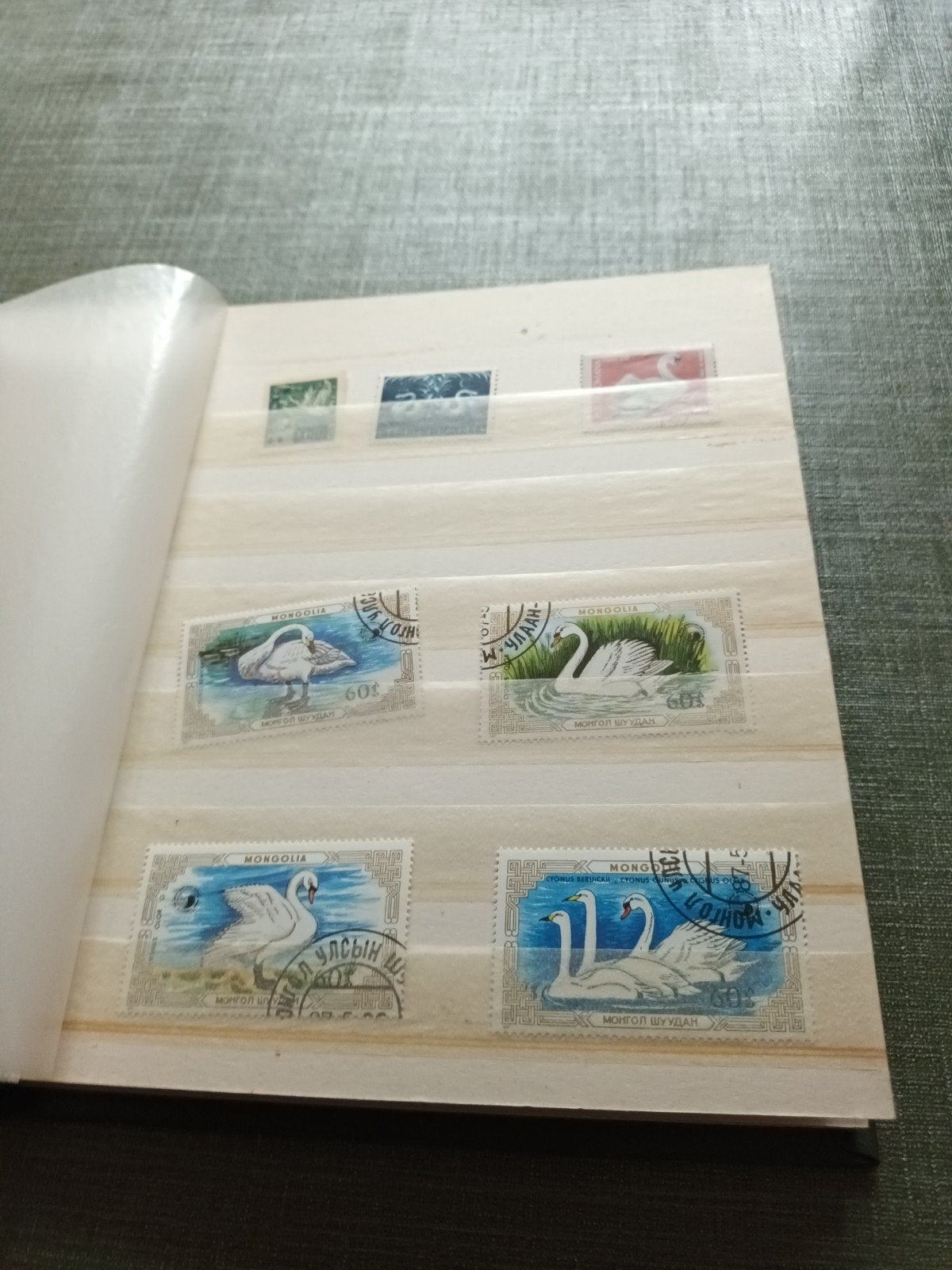 Album met ongeveer 50 Zwanen/ zwaan postzegels, Ophalen of Verzenden, Gestempeld, Dier of Natuur