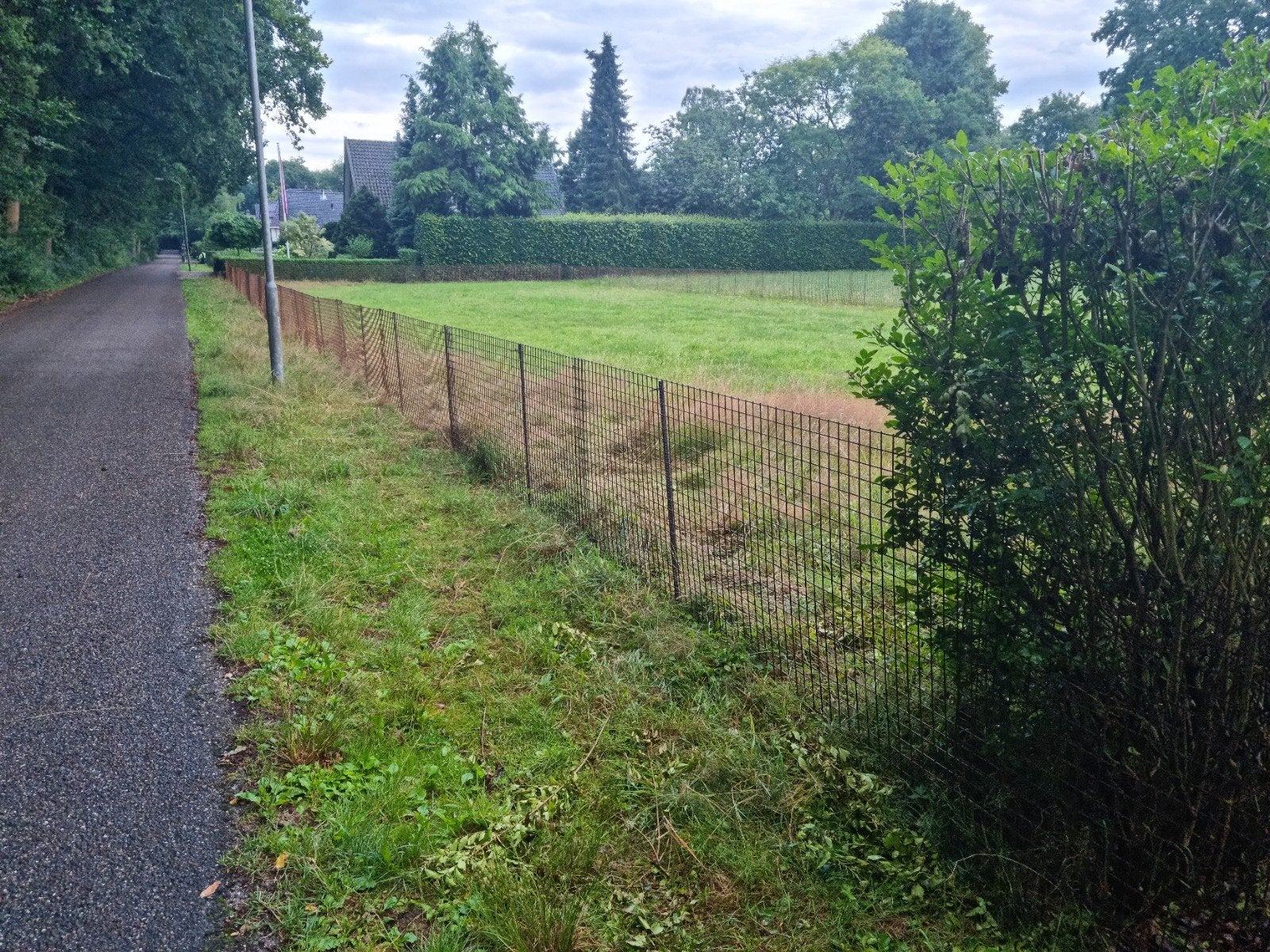 Nieuw! 120 meter betongaas! Maaswijdte 5x5cm hoogte 100cm

Z, Tuin en Terras, Gaas en Draad, Ophalen, Nieuw, 20 meter of meer