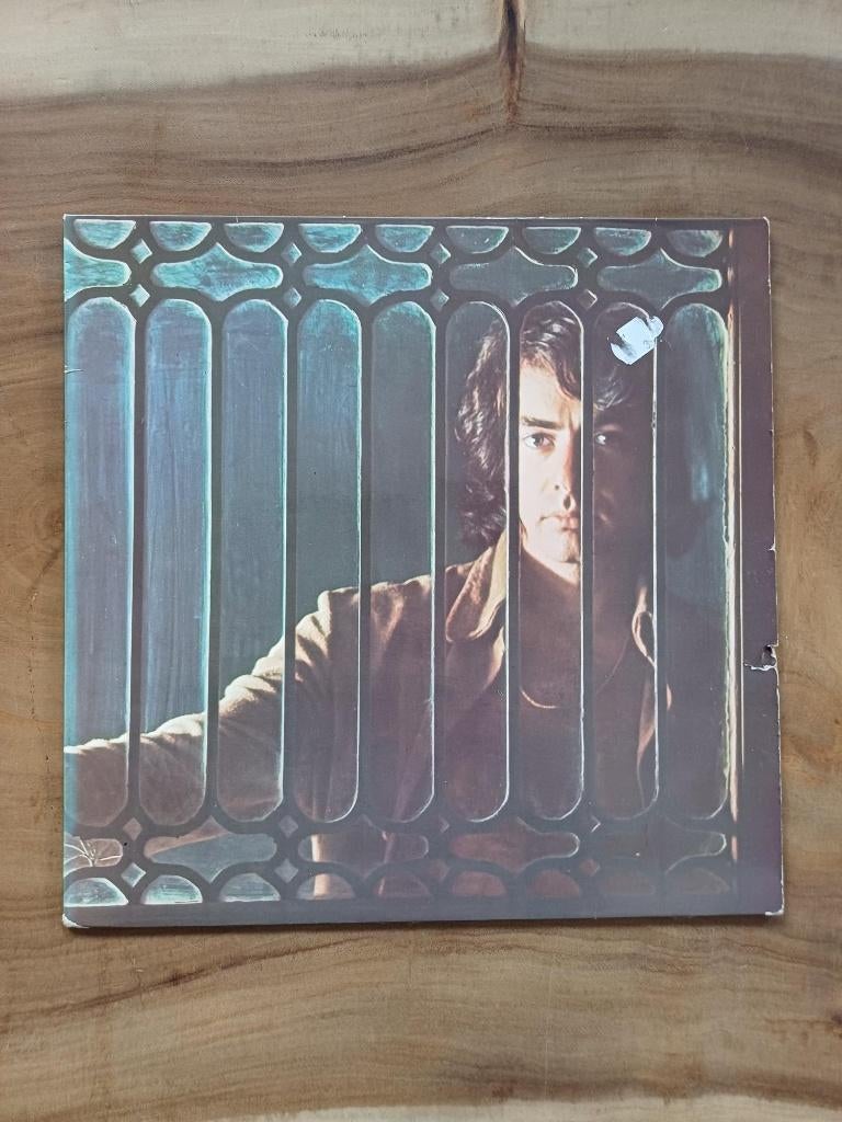 Neil Diamond - Beautiful Noise - Vinyl, Cd's en Dvd's, Vinyl | Pop, Ophalen of Verzenden, Zo goed als nieuw, 12 inch