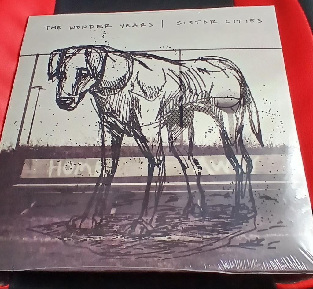 The wonder years - sister cities lp, Ophalen of Verzenden, Zilver