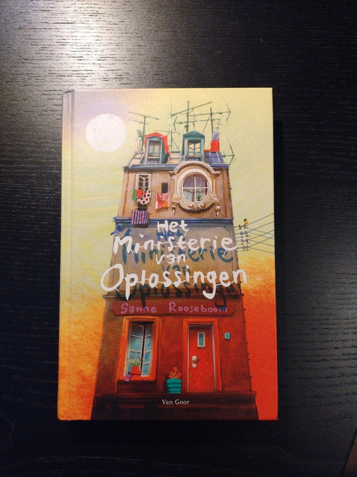 Het Ministerie van Oplossingen boek, Boeken, Ophalen, Zo goed als nieuw, Sanne Rooseboom
