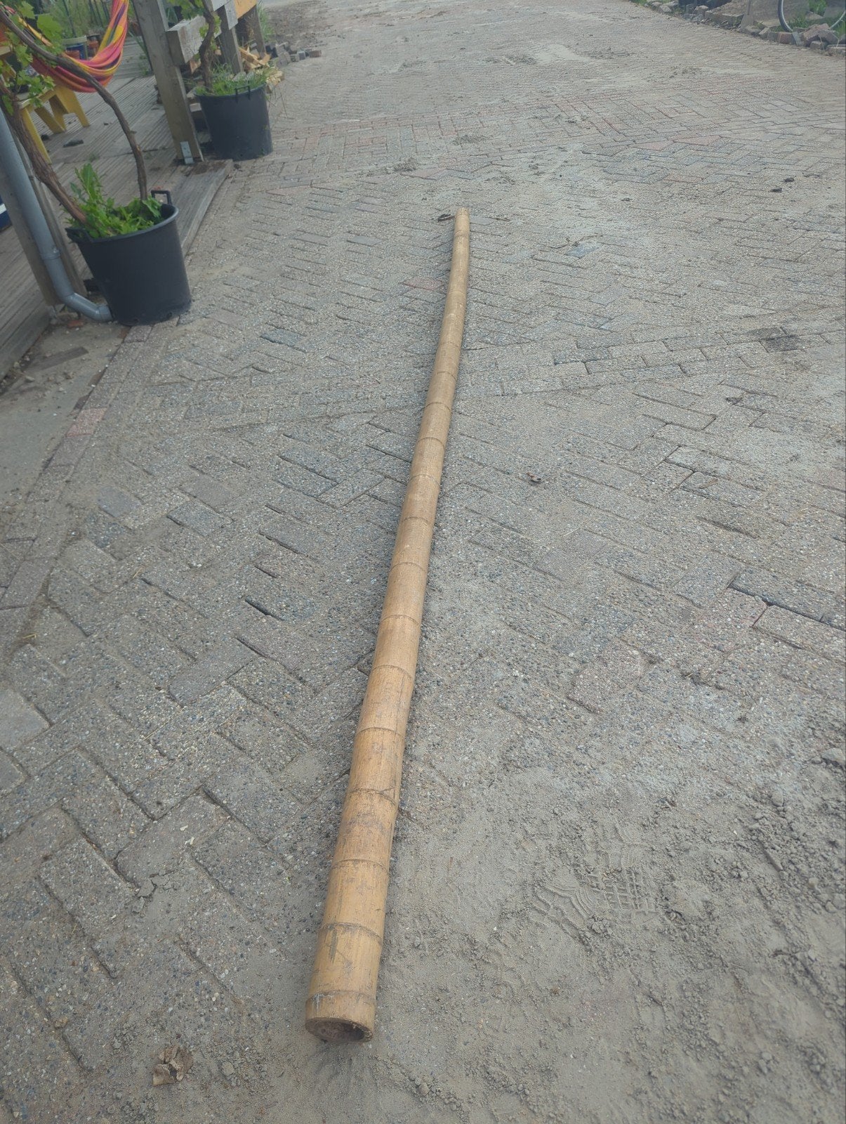 3 Bamboe palen 4,10 x 10cm- Ideaal voor tuin of decoratie, Ophalen, Gebruikt, 250 cm of meer, Palen