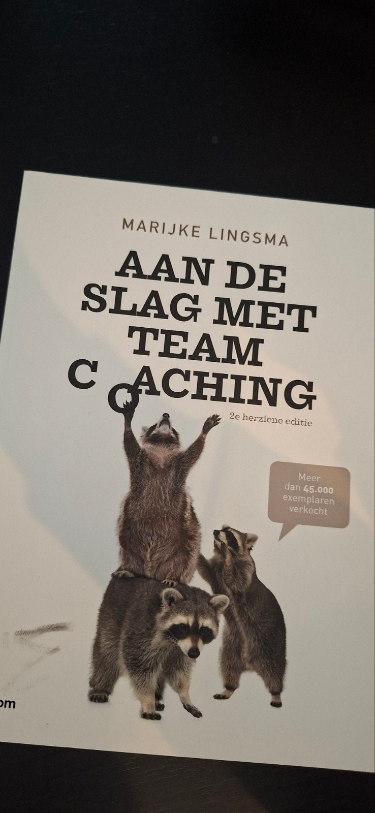 Aan de slag met teamcoaching - Marijke Lingsma, Boeken, Ophalen of Verzenden, Zo goed als nieuw, Marijke Lingsma