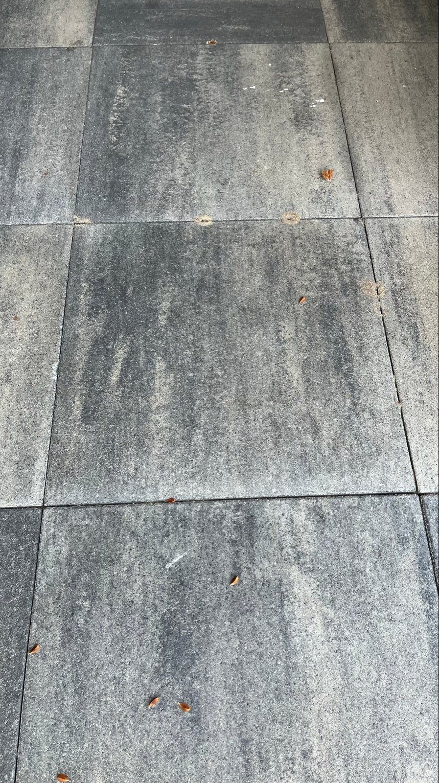Nieuwe terrastegels 60-60cm / 13 stuks., Tuin en Terras, Ophalen, Nieuw, 10 m² of meer, Beton
