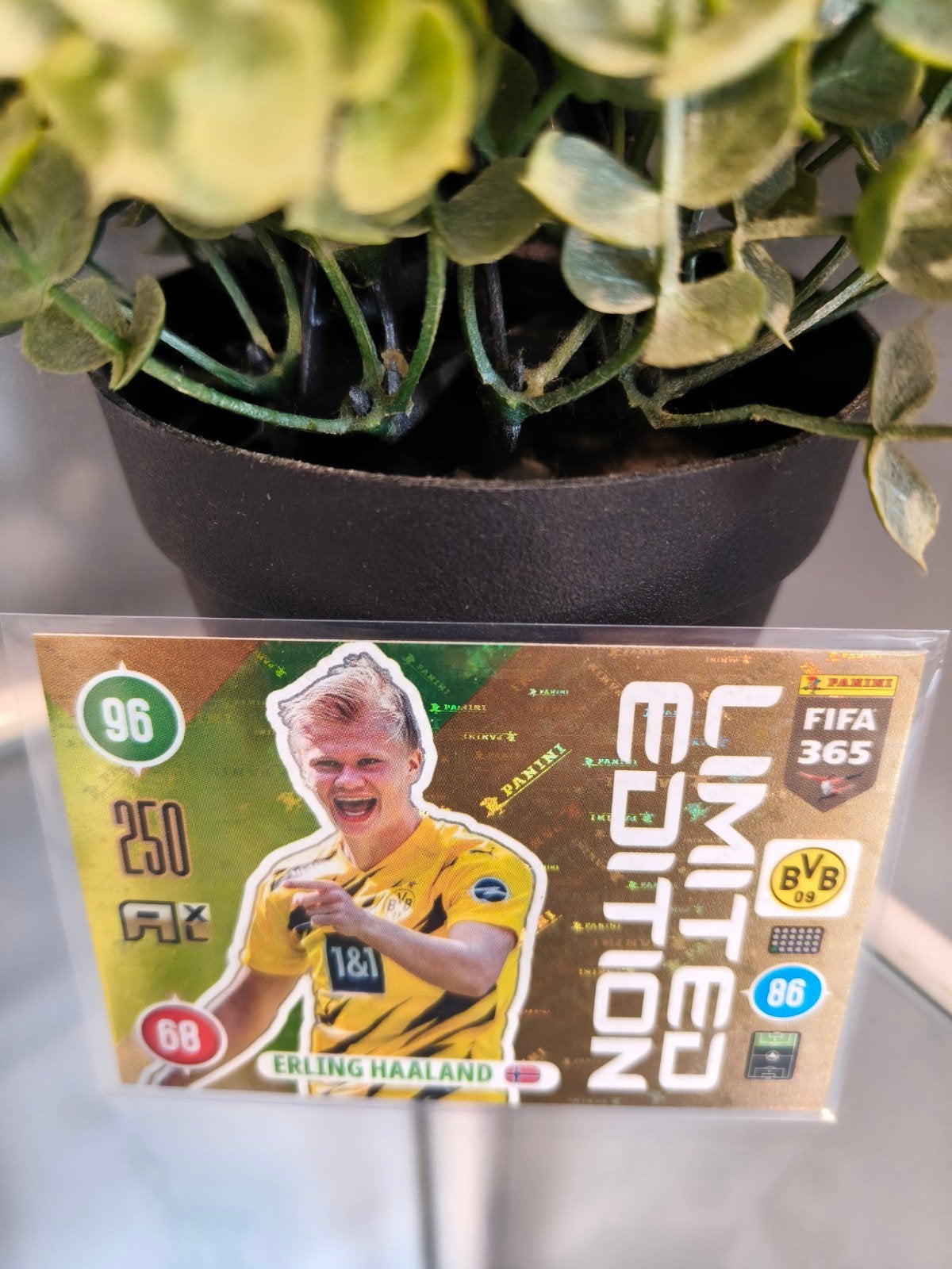 Limited Edition Erling Haaland Borussia Dortmund, Ophalen of Verzenden, Zo goed als nieuw