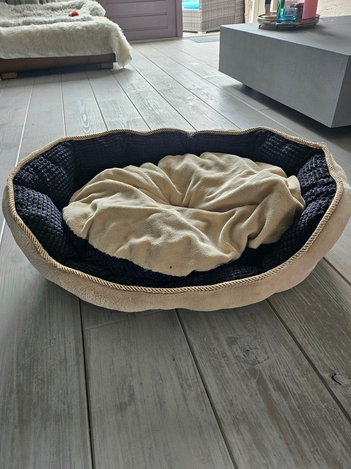 Honden mand, Dieren en Toebehoren, Ophalen of Verzenden