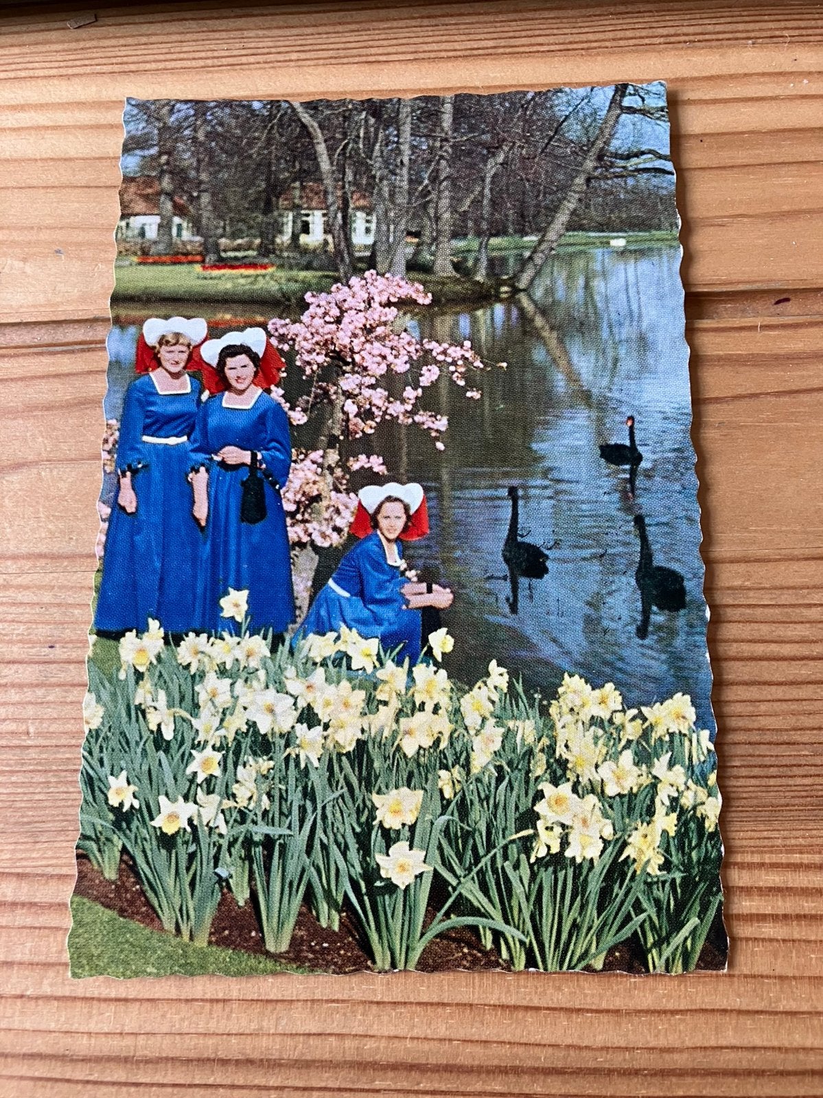 Ansichtkaart Lisse keukenhof, Verzamelen, Ophalen of Verzenden