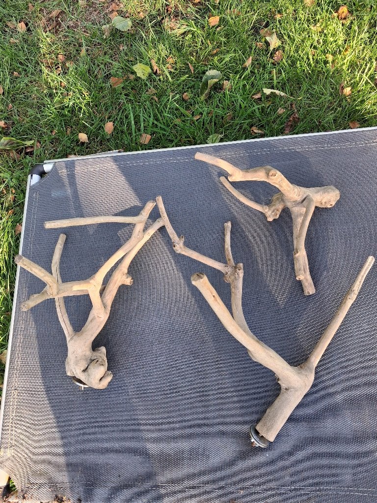 zitstok java hout, Dieren en Toebehoren, Ophalen of Verzenden, Zo goed als nieuw, Kooi-accessoires