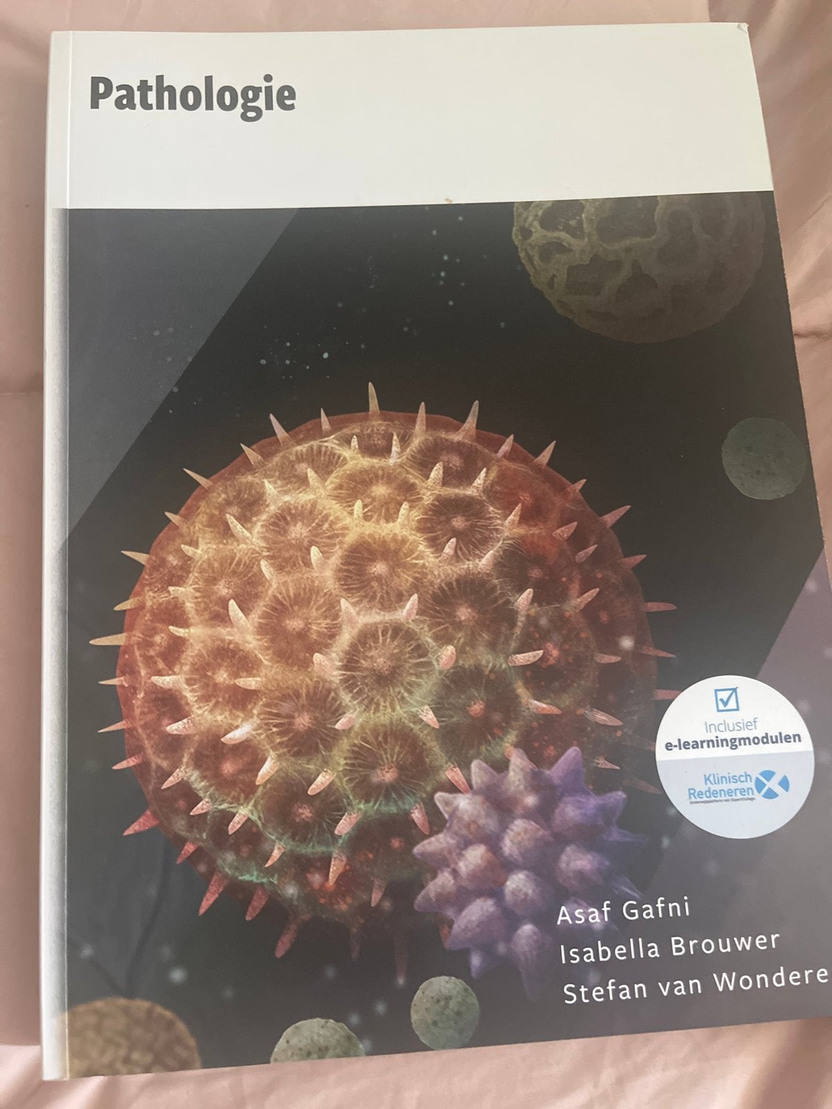 Asaf Gafni - Pathologie, Asaf Gafni; Isabella Brouwer; Stefan van Wonderen, Ophalen of Verzenden, Zo goed als nieuw, Nederlands
