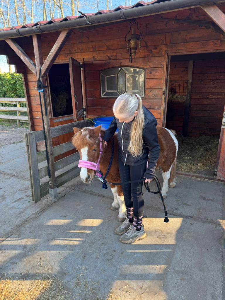 Gezocht verzorg pony/shetlander /paard omgeving Ridderkerk, Ophalen