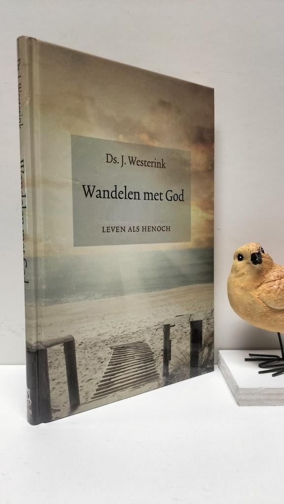Westerink, Ds. J.; Wandelen met God (leven als Henoch), Boeken, Ophalen of Verzenden, Gelezen, Christendom | Protestants