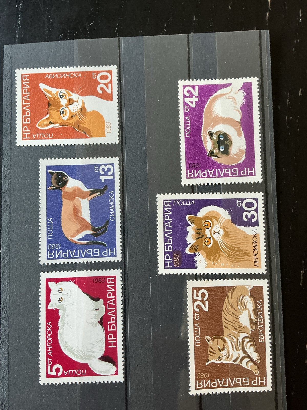 Katzen Cats Bulgarije katten 1983 - complete set, Verzenden, Bulgarije, Postfris