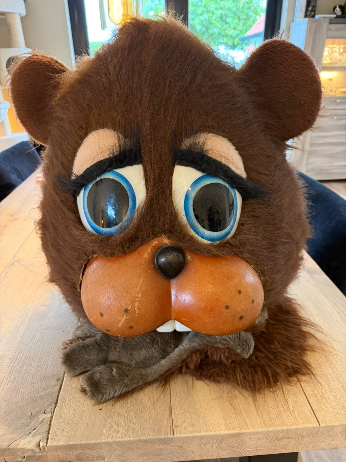 Bever mascotte - mascottepak - beverpak - fursuit, Ophalen of Verzenden, Gebruikt, Pak of Jurk