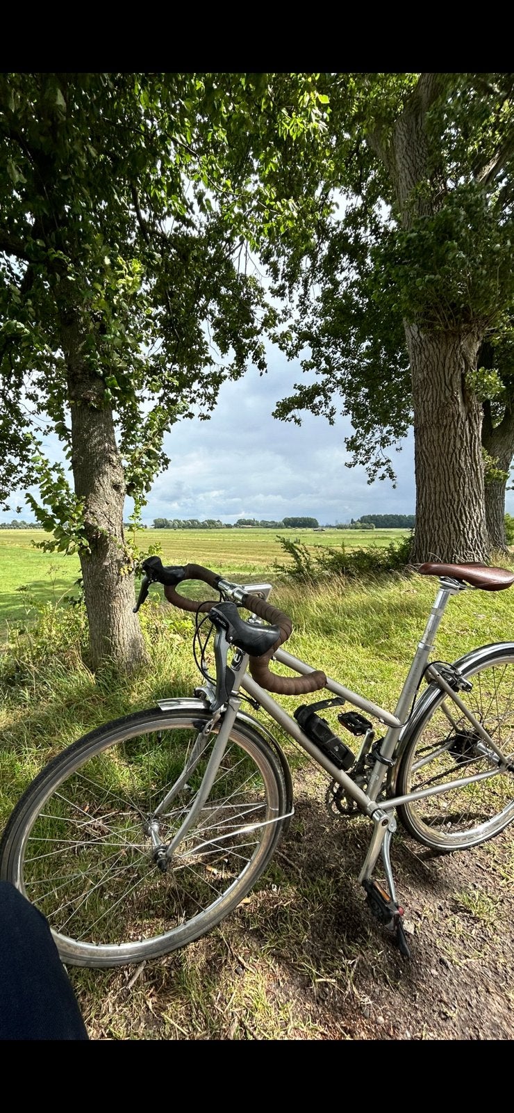 6KU Odessa Fiets - Stijlvol en Comfortabel